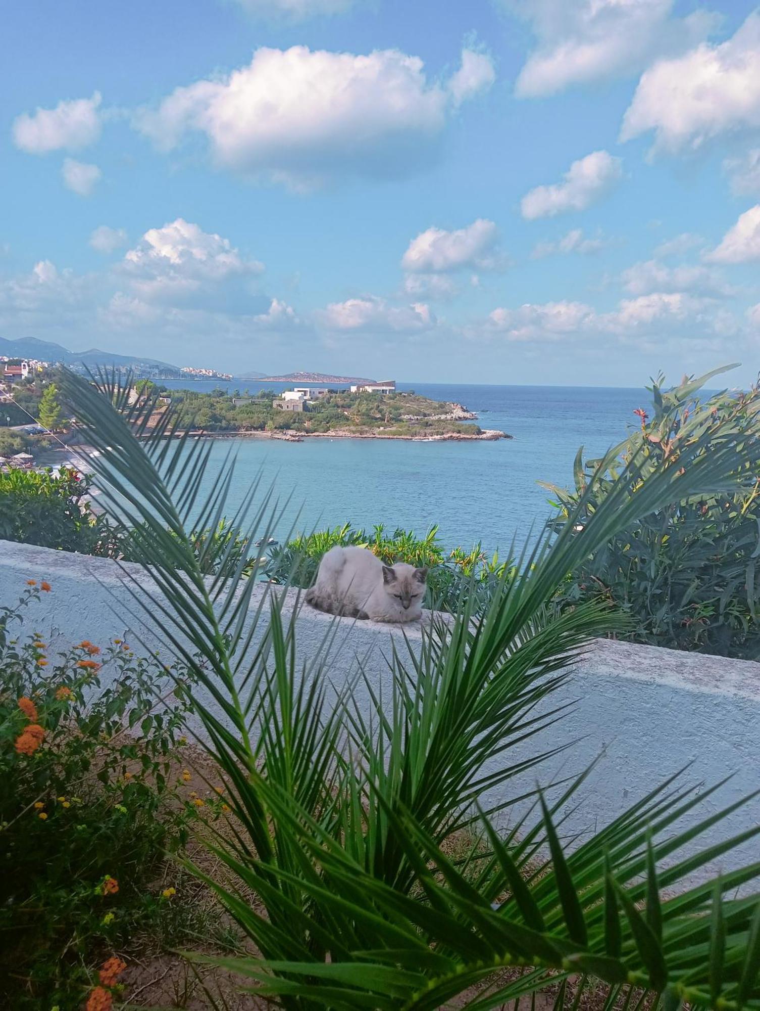 Residence Gerani Amoudara (Lasithi) Exterior foto